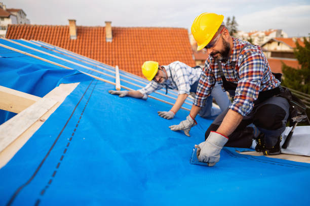 Professional Roof Repair & Installaion in Montrose, CO